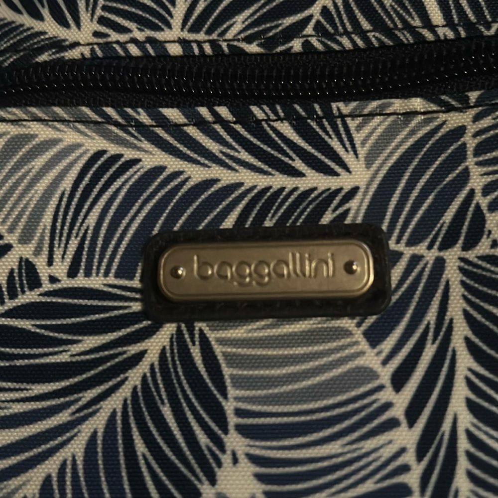 Baggallini cross body bag